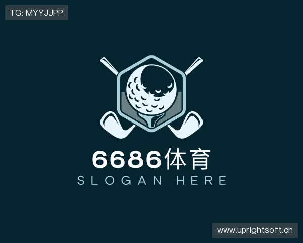 关于6686